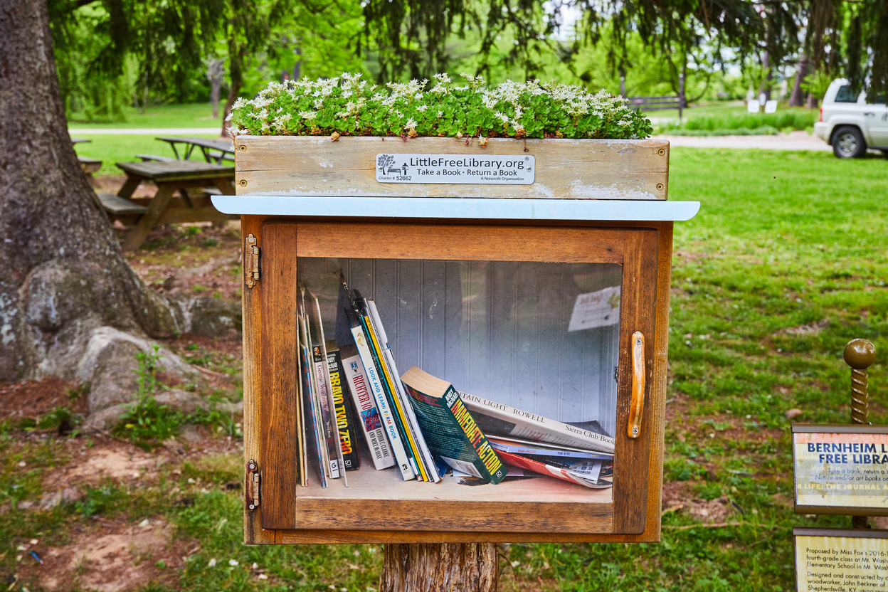 Tiny Flowerbox with White Flowers Atop Little Free Library Box W